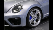 Beetle-