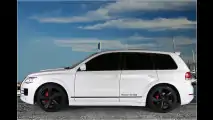 VW: Royster GT 460
