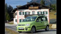 Platz 7: Fiat Panda (3,1 Prozent)