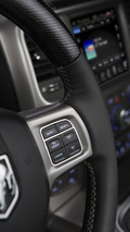 Ram Laramie Limited