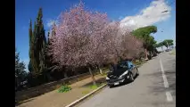 Peugeot 308 HDi 110 CV 5p TECNO
