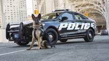 Ford Police Responder Hybrid Sedan