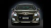 Peugeot 508 RXH Castagna
