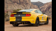Ford Mustang Shelby Terlingua