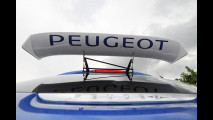 CIR 2015, al Rally Adriatico in Peugeot 308
