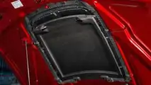 Ford Mustang Shelby GT500 Performance Parts Carbon Fiber Rain Tray