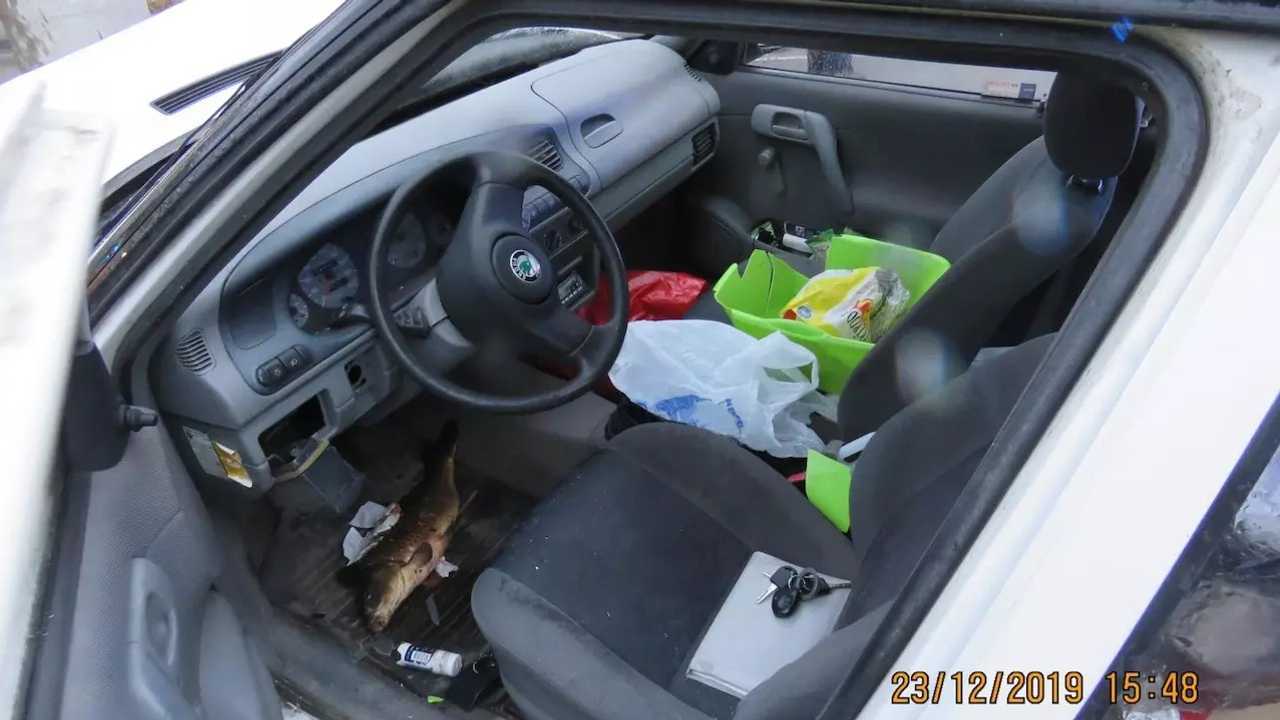 skoda_felicia_crush_int