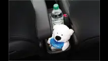 Der kleine Wilde