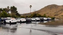 This Is What Thanksgiving Caused On Some Supercharger Stations: Lines