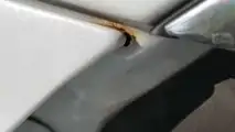 Tesla Model 3 Rust