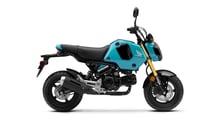 24 Grom_Blue Raspberry RHP