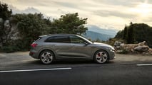 2024 Audi Q8 e-tron (European Model)
