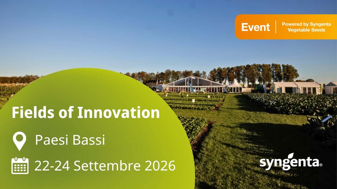 nuova-resistenza-allernia-syngenta-sfida-il-ceppo-pb-2