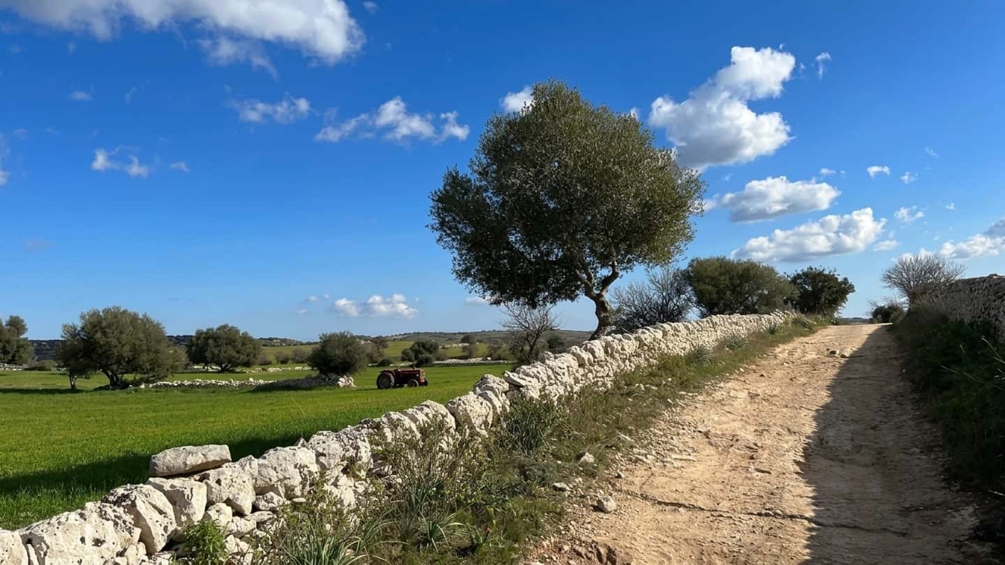 Bandi agricoli regionali, le nuove opportunità 2026