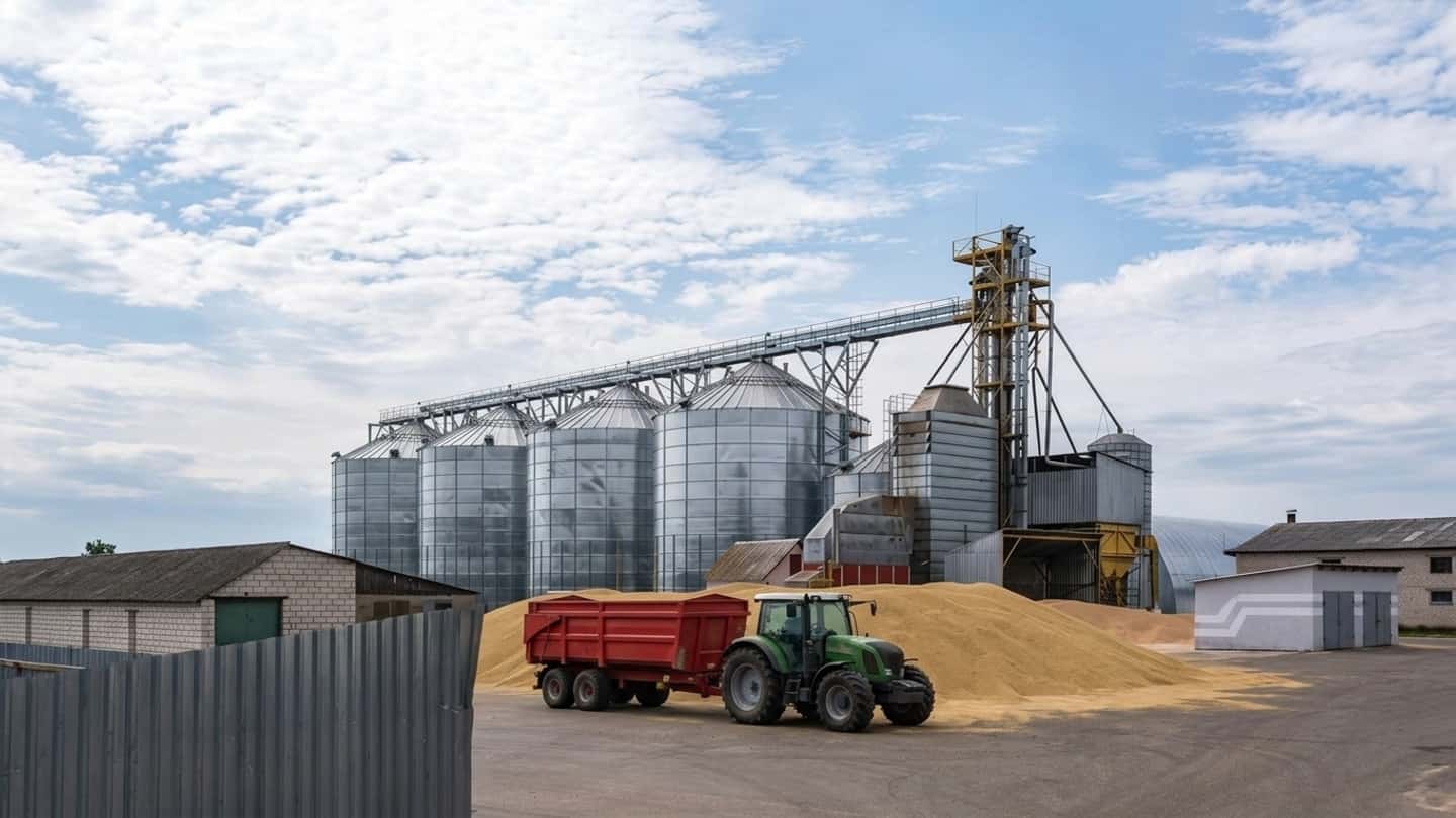 Grano tenero al Nord, rese buone ma margini in rosso