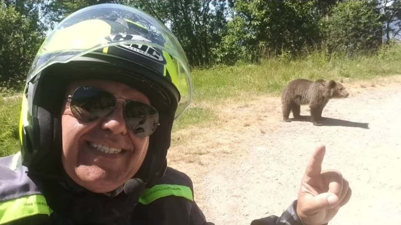 Bear Attacks Motorcyclist
