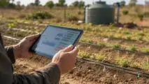 Scelta e dimensionamento dei gocciolatori autocompensanti per impianti di microirrigazione a goccia efficienti e uniformi
