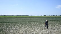 Clima estremo e cooperative: il rischio di perdere la mutualità prevalente con più tasse e adempimenti. Cosa dice la legge oggi