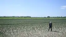Clima estremo e cooperative: il rischio di perdere la mutualità prevalente con più tasse e adempimenti. Cosa dice la legge oggi