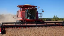 Bayer: trimestrale positiva grazie alla soia
