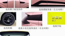 BYD Dolphin Mini 2028