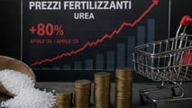  Urea +80%: fertilizzanti alle stelle, a rischio pasta e pane