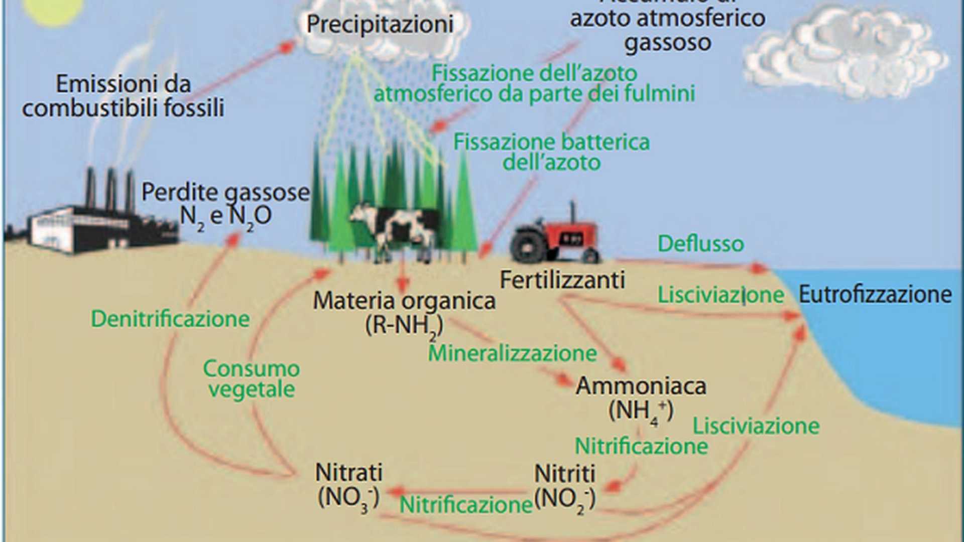 Giulia Tonello alle prese con botte e direttiva nitrati