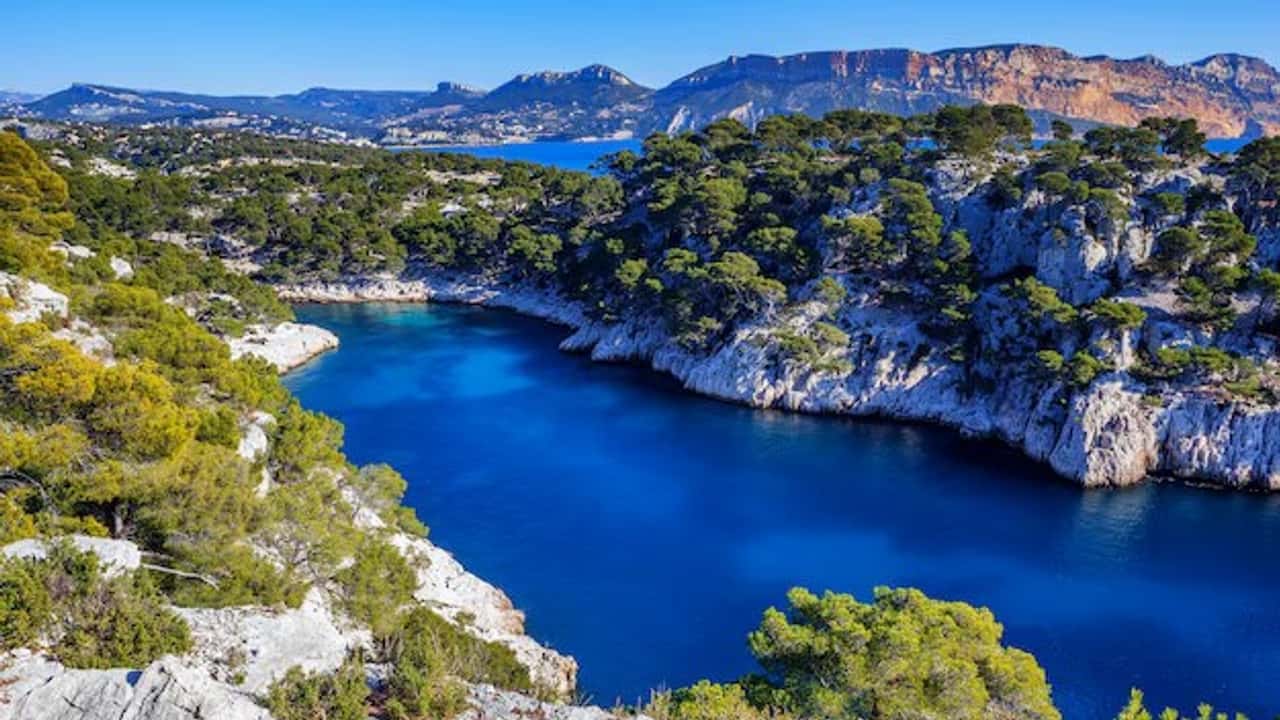 calanques-port-pin-cassis-france-pres-marseille_268835-884
