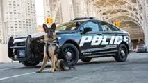 2017 Ford Police Responder Hybrid Sedan