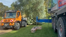 Natale 2023, l'abete Nordmann trainato da un Unimog U 435
