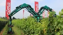 Attrezzature da vigneto e frutteto TOP per il 2024