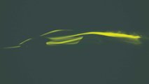 Teaser Lotus Type 130