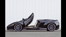 Spyder-Hamann