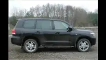 Japanischer Kraxler