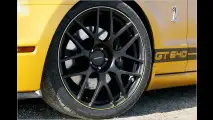 Golden Snake