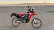 2019 Honda CRF250L RALLY - Main