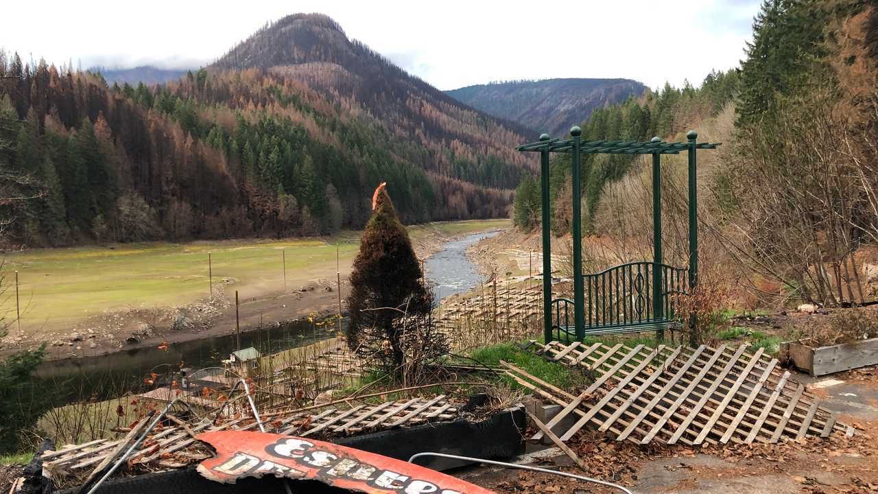 Forest Fire debris