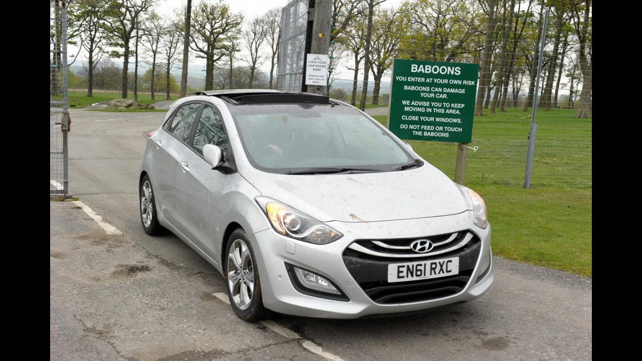 VÍDEO: Hyundai deixa 40 macacos testarem durabilidade do Novo i30