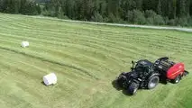 VICON FASTBALE 