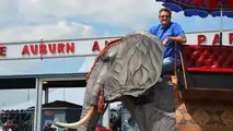 Mechanical Elephant Auction