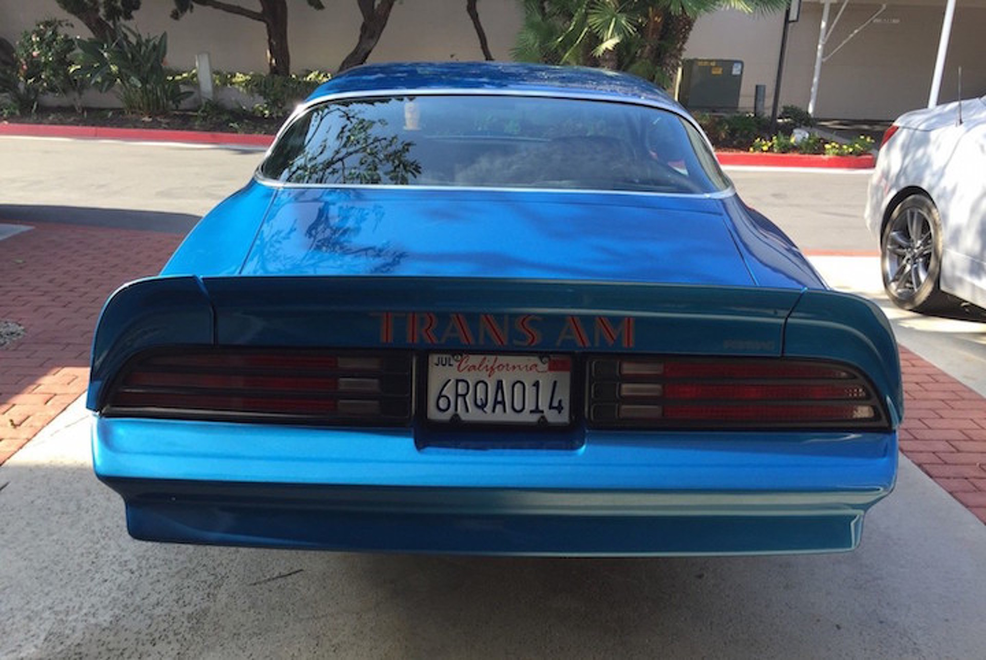 Brilliant Blue 1978 Pontiac Trans Am Needs a New Home