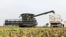 Fendt IDEAL 8T: perchè comprarla