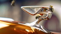 Bentley Honey Harvest