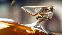 Bentley Honey Harvest