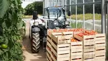 foto Bobcat telescopico super compatto TL25.60 AGRI