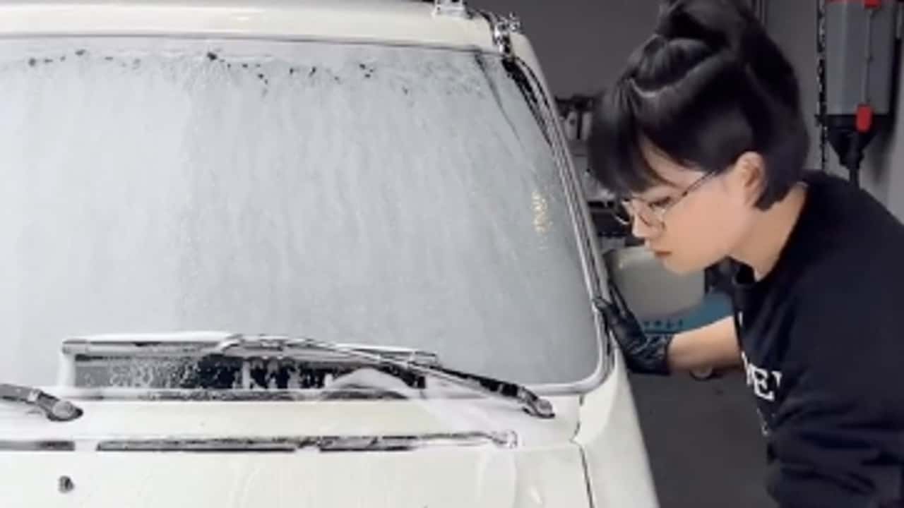 Restauración viral Suzuki