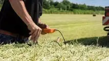 Quando conviene davvero pressare la paglia di orzo ad agosto nel 2026