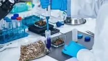 Nuove regole UE 2026 su additivi e biocidi nei mangimi
