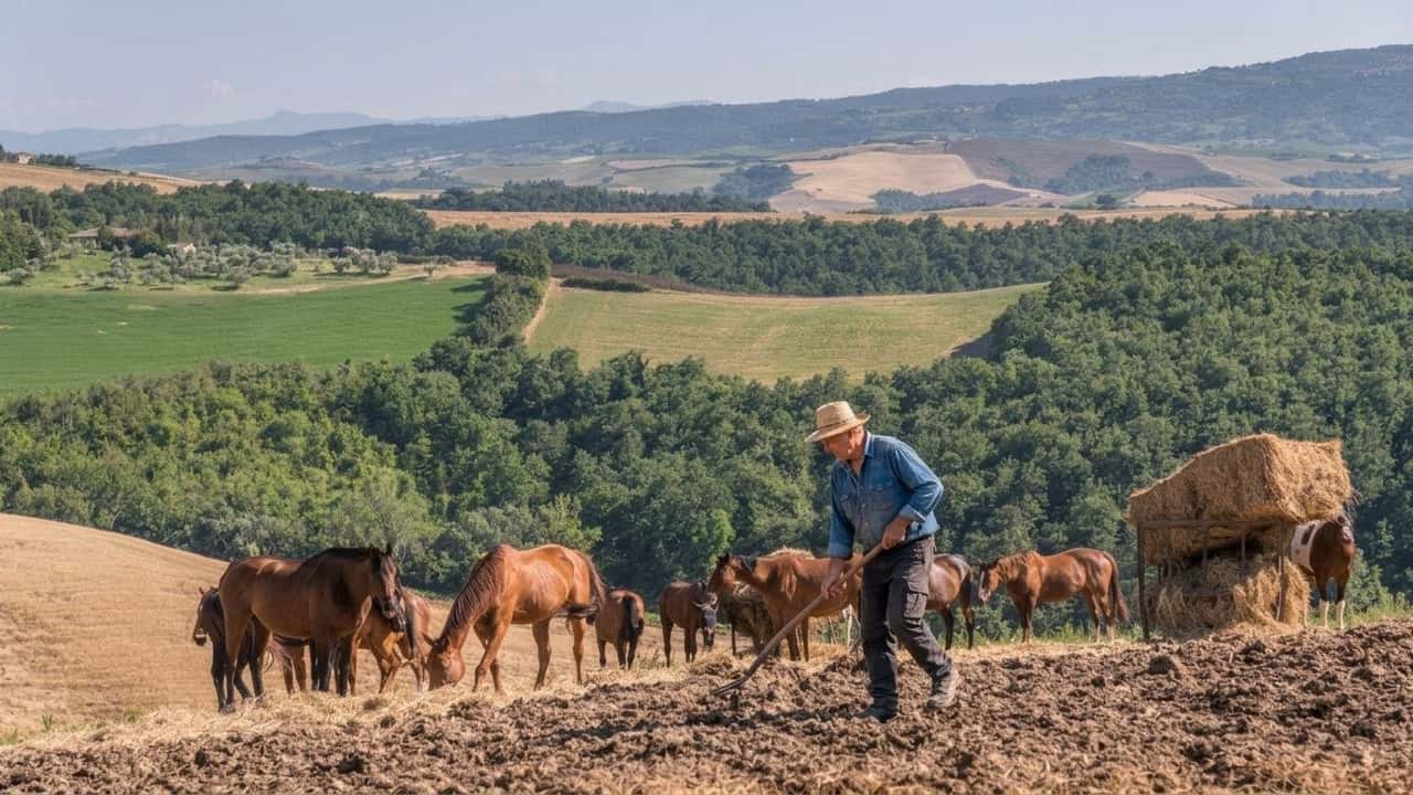 confagricoltura-senza-regole-caos-per-le-aziende-con-cavalli