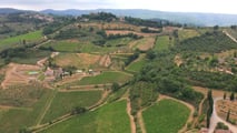 Vite e rame: come rispettare i nuovi LMR UE 2026/840
